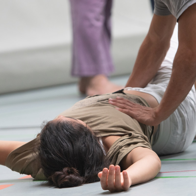 Dr. Felizitas Perz in Kainbach bei Graz - Feldenkrais Methode